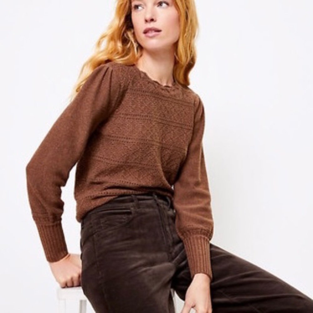 LOFT Brown Shimmer Pointelle Sweater - Picture 5 of 5